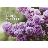 Stimmungsbild zu Blessings - Postkarten-Set