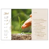 Stimmungsbild zu Ein Jahr für die Seele 2025/2026