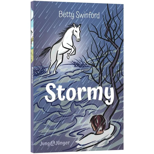 Produktbild des Artikels Stormy (Buch - Paperback)