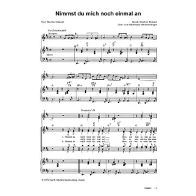 Produktbild des Artikels Nimmst Du mich noch einmal an (Noten - Download)