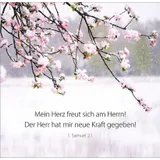 Stimmungsbild zu Ein Himmel voller Segen - Aufstellbuch