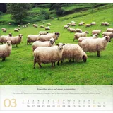 Stimmungsbild zu Psalm 23 - Wandkalender 2026