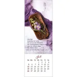 Stimmungsbild zu Den Augenblick genießen 2026 - Lesezeichen-Kalender