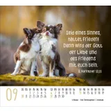 Stimmungsbild zu Hunde 2026 - Minikalender