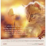 Stimmungsbild zu Katzen-Tatzen 2026 - Wandkalender