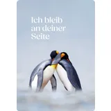 Stimmungsbild zu Blessings - Postkarten-Set