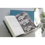 Stimmungsbild zu 77 mal Trost