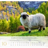 Stimmungsbild zu Psalm 23 - Wandkalender 2026