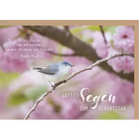 Produktbild des Artikels Faltkarte "Gottes Segen zum Geburtstag" - Vogel (Schreibwaren)