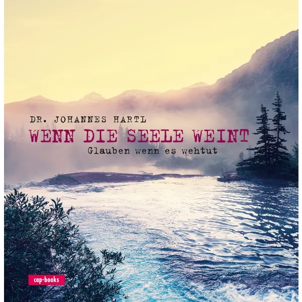 Produktbild des Artikels Wenn die Seele weint (Buch - Gebunden)