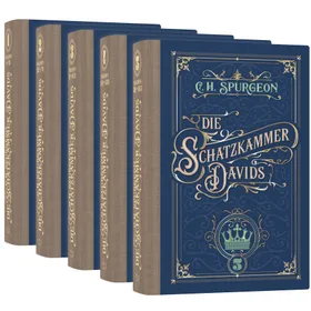 Produktbild des Artikels Die Schatzkammer Davids (Buch - Gebunden)