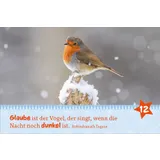 Stimmungsbild zu Hosentaschenadventskalender