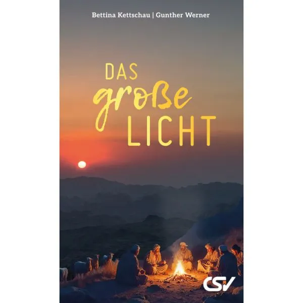 Produktbild des Artikels Das große Licht (Buch - Taschenbuch)