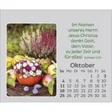 Stimmungsbild zu Freude für jeden Tag 2026 - Mini-Aufstellkalender