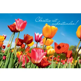 Produktbild des Artikels Faltkarte "Christus ist auferstanden!" - 5 Stück (Schreibwaren)