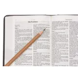 Stimmungsbild zu Schlachter 2000 - Miniaturausgabe