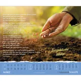 Stimmungsbild zu Aus dem Leben - für das Leben 2026 - Postkartenkalender