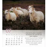 Stimmungsbild zu Psalm 23 - Tischkalender 2026