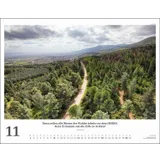 Stimmungsbild zu Israel 2026 White Version