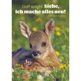 Produktbild des Artikels Jahreslosung 2026 - Postkarten, 4 Stk Tier (Schreibwaren)