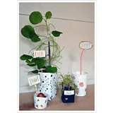 Stimmungsbild zu FrühlingsGlück - Postkartenbox