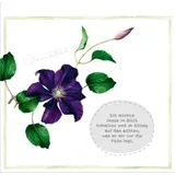 Stimmungsbild zu GartenGlück - Aufstellbuch