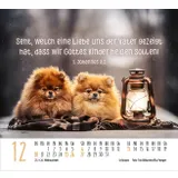 Stimmungsbild zu Hunde 2026 - Minikalender