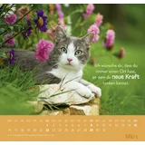 Stimmungsbild zu Einfach mal abhängen 2026 - Wandkalender