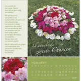 Stimmungsbild zu Rosenduft mit guten Wünschen 2026 - Wandkalender