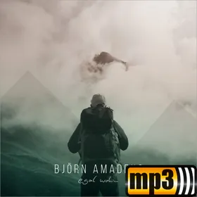 Produktbild des Artikels Egal wohin (MP3-Album - Download)