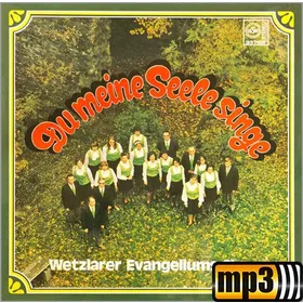 Produktbild des Artikels Du meine Seele singe (MP3-Album - Download)