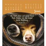 Stimmungsbild zu Von Herzen ein glückliches Jahr 2026 - Tischkalender