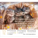 Stimmungsbild zu Begegnungen 2026 - Minikalender