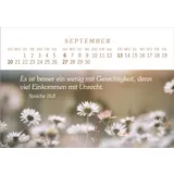 Stimmungsbild zu Das Geschenk der Freude 2026