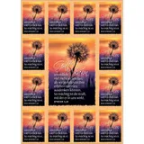 Stimmungsbild zu Aufkleber-Grußkarten: Gott kann unendlich viel mehr, 4 Stück