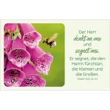 Stimmungsbild zu Blütenreiche Bibelverse - Karten