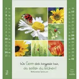 Stimmungsbild zu Kleine Freuden 2026 - Aufstellkalender