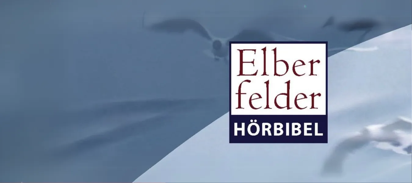 Banner - Die Elberfelder  für deine Ohren