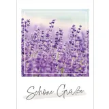 Stimmungsbild zu Unendlich geliebt - Postkartenset