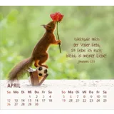 Stimmungsbild zu Du bist meine Freude 2026 - Tischkalender