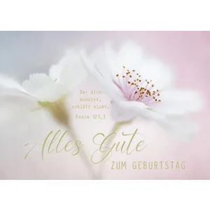 Produktbild des Artikels Postkarten "Alles Gute zum Geburtstag" - Blüte 12 Stück (Schreibwaren)