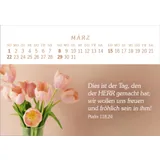 Stimmungsbild zu Das Geschenk der Freude 2026