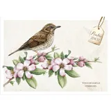 Stimmungsbild zu Postkartenbox "Meisterwerke des Schöpfers"