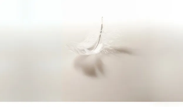 Bild zum Beitrag - Hochsensibilität