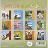 Stimmungsbild zu Gottes Liebe ist wie die Sonne 2026 - Postkartenkalender