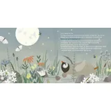 Stimmungsbild zu Wunderbare gute Nacht