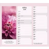 Stimmungsbild zu Vormerk-Kalender 2026 mit Sinnsprüchen