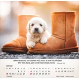 Stimmungsbild zu Hunde 2026 - Tischkalender