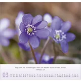 Stimmungsbild zu Blumen-Impressionen 2026 - Wandkalender