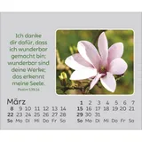 Stimmungsbild zu Freude für jeden Tag 2026 - Mini-Aufstellkalender